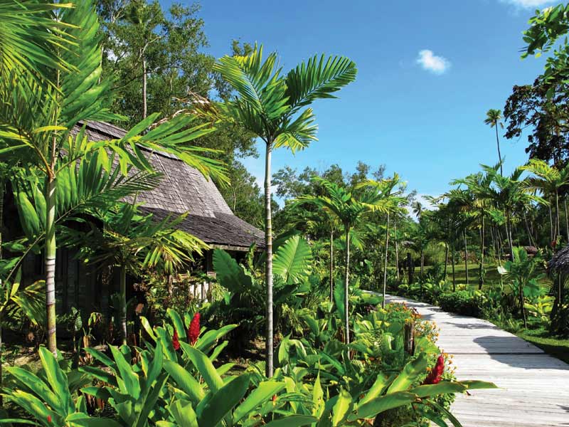 Garden Boardwalk Ratua Island Resort Spa My Vanuatu - 