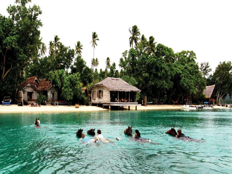 Swimming With Horses Ratua Island Resort Spa My Vanuatu - 