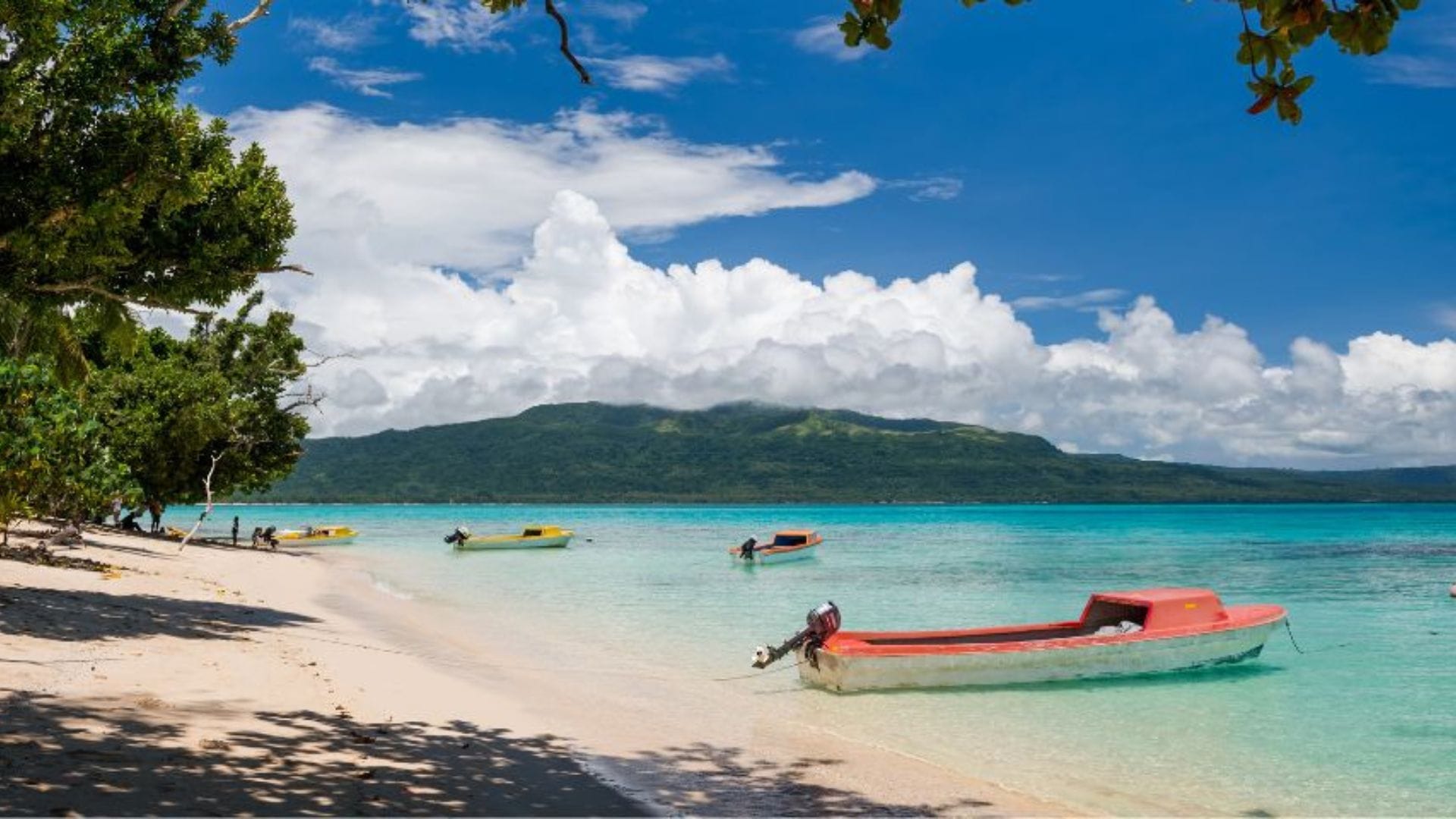 Top 5 Things to do in Vanuatu