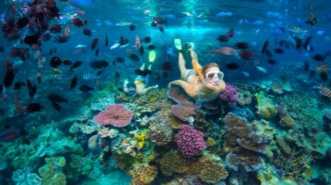 people-snorkelling-reef-in-vanuatu