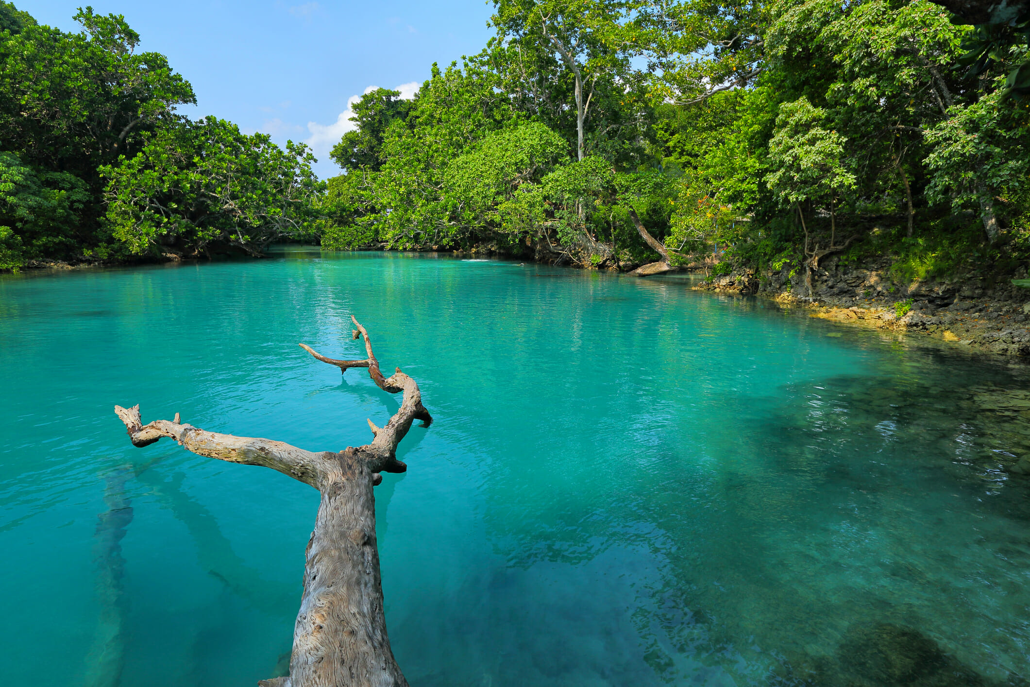Blue lagoon swimming hole where fresh water meets salt water.