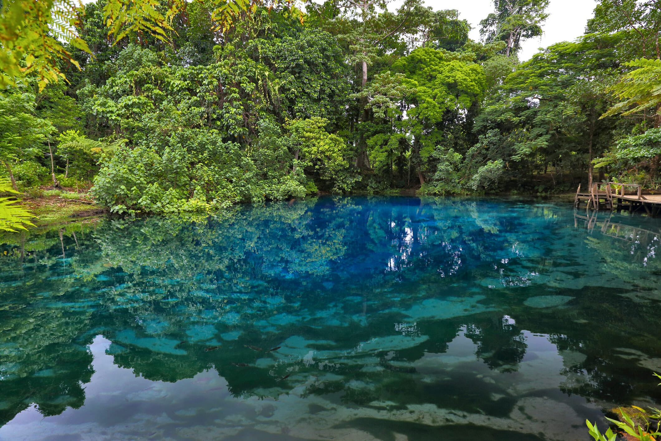 The deep Blue waters of the Nanda Blue hole containing fresh water fish which tourists can swim with.