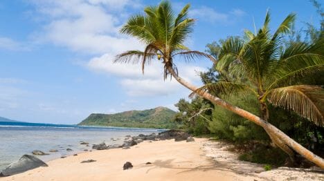 my-vanuatu-nguna-island-remote-trees-beach-tropical